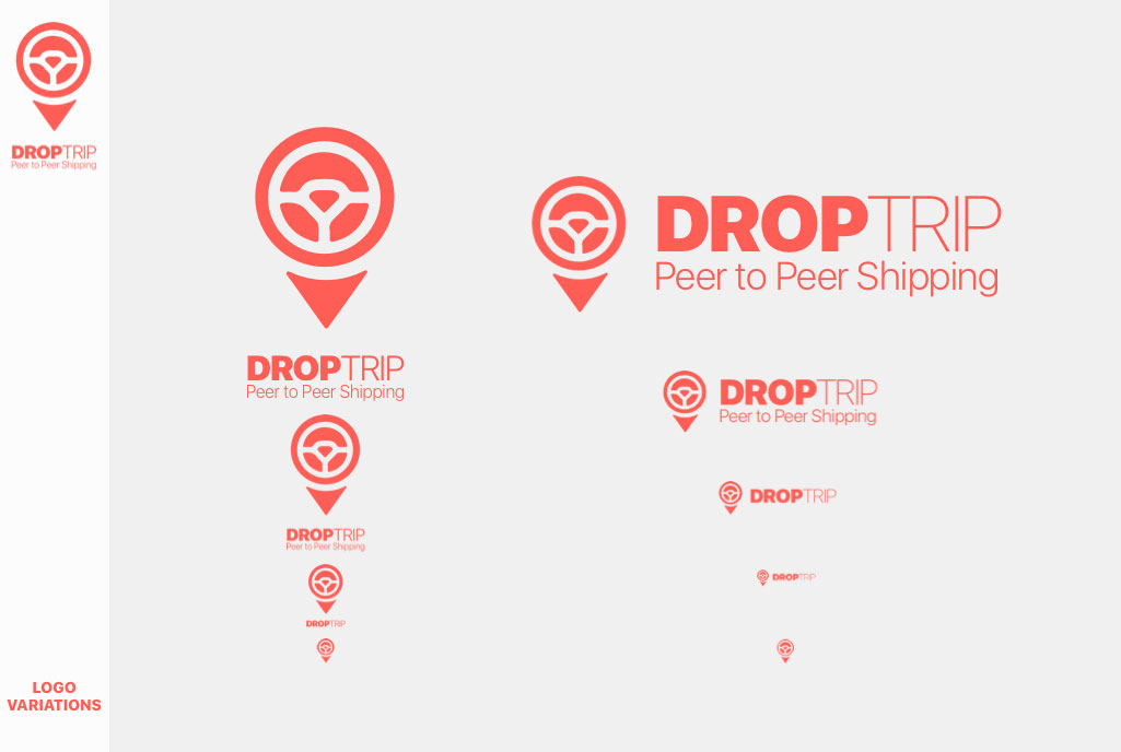 DropTrip Logo Options